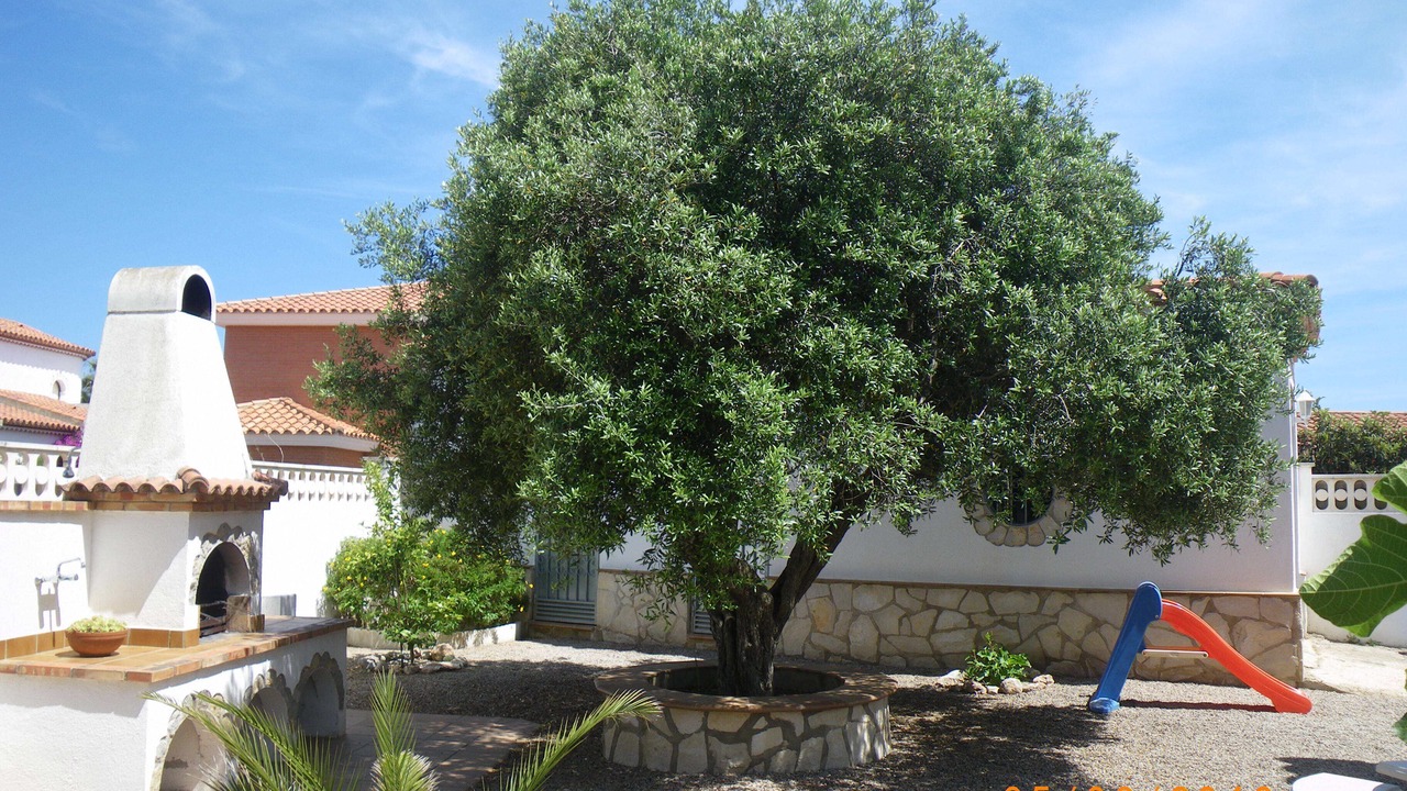 Photo of Outdoor in Miami Platja