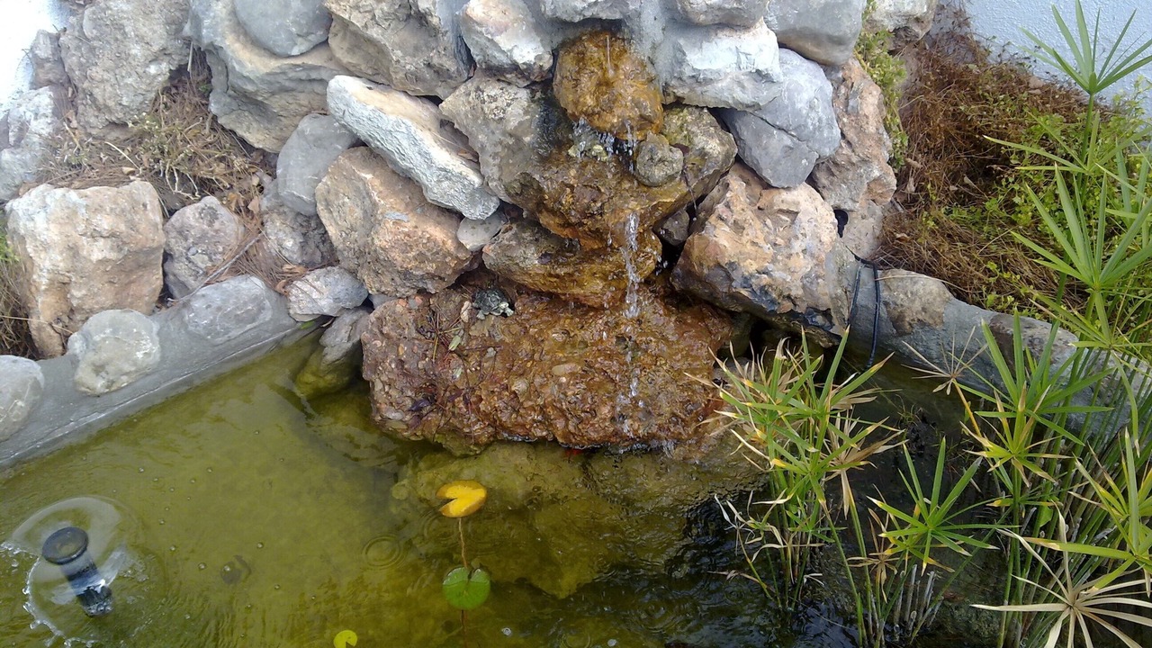 Photo of Outdoor in Miami Platja