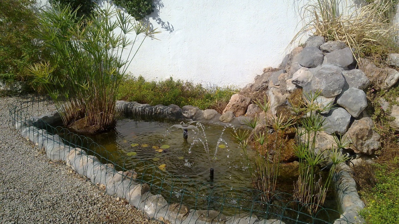 Photo of Outdoor in Miami Platja