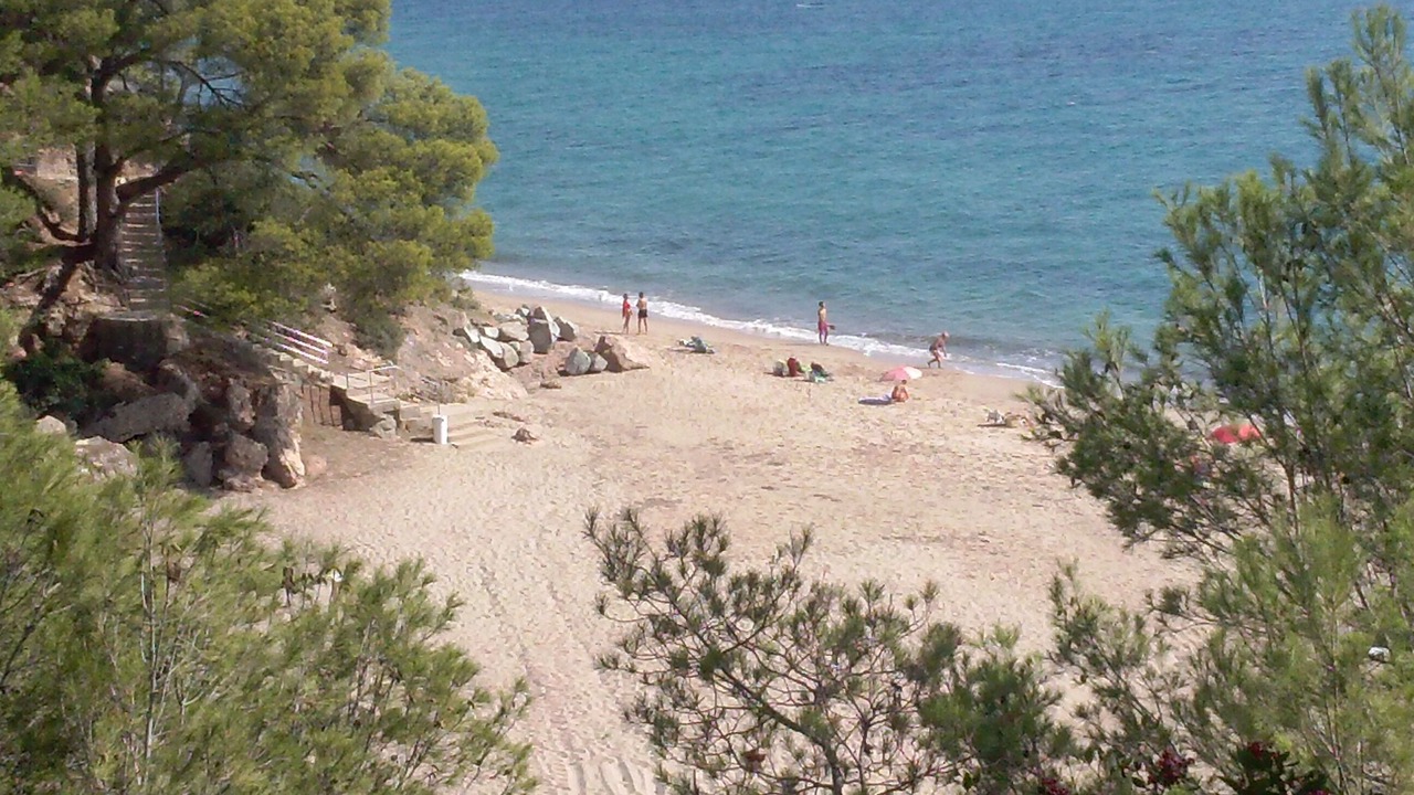 Photo of Others in Miami Platja