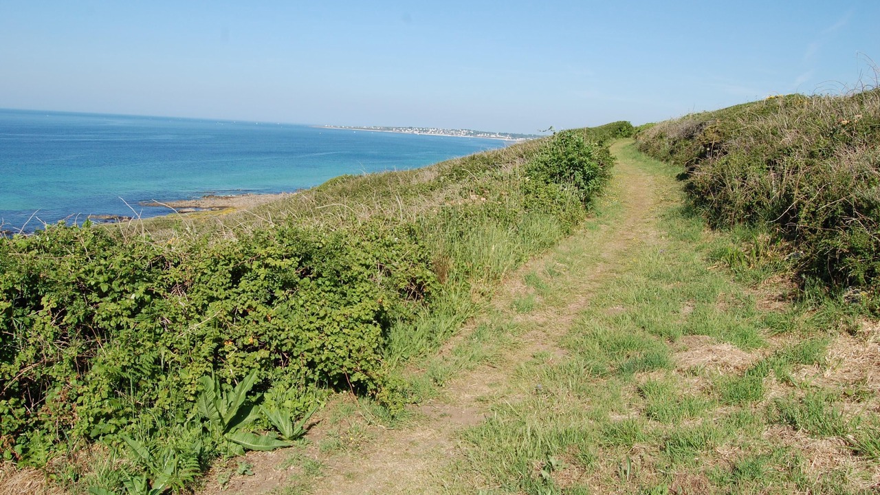 Photo of Others in Plouhinec