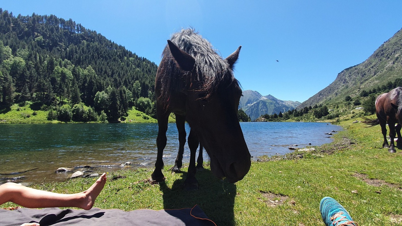 Photo of Others in Porte-Puymorens