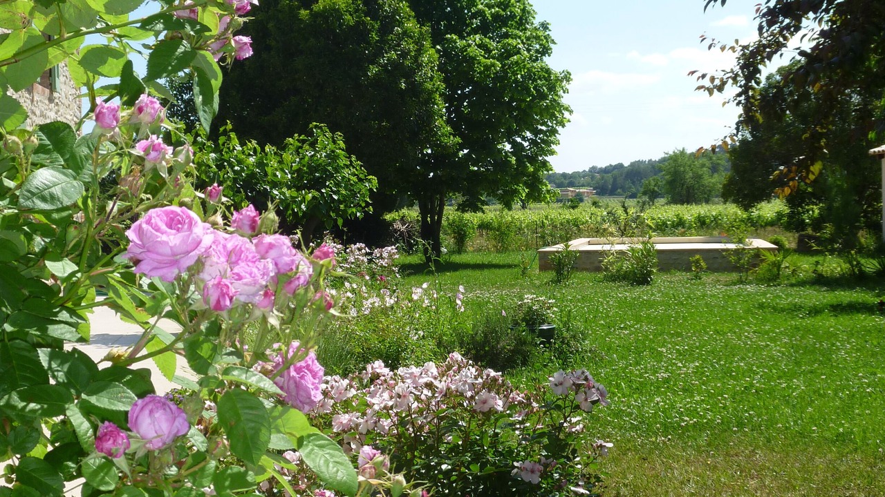 Photo of Outdoor in Cardet
