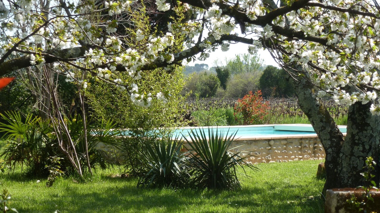 Photo of Outdoor in Cardet