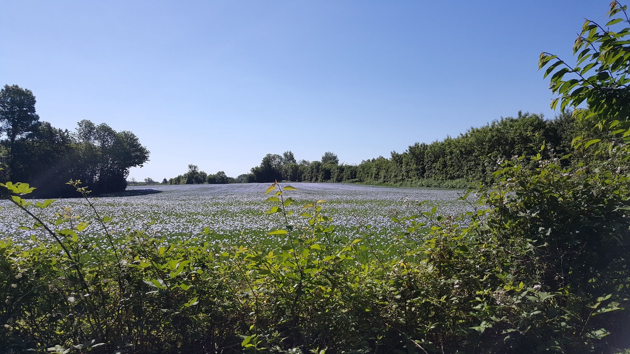 Photo of Outdoor in Thouarsais-Bouildroux