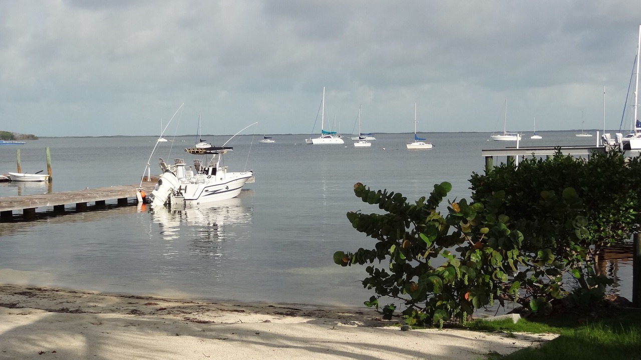 Photo of Others in Key Largo