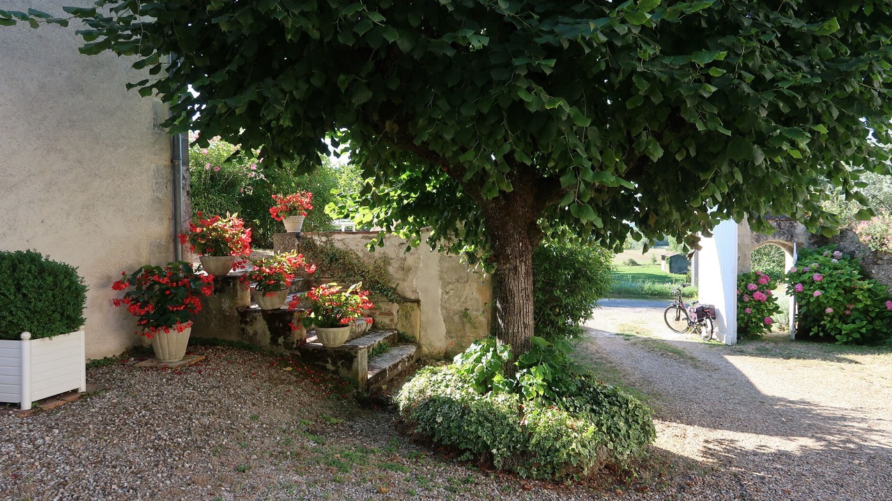 Photo of Outdoor in Noizay