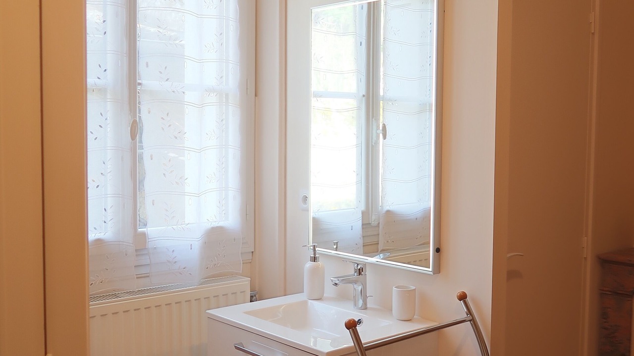 Photo of Bathroom in Noizay