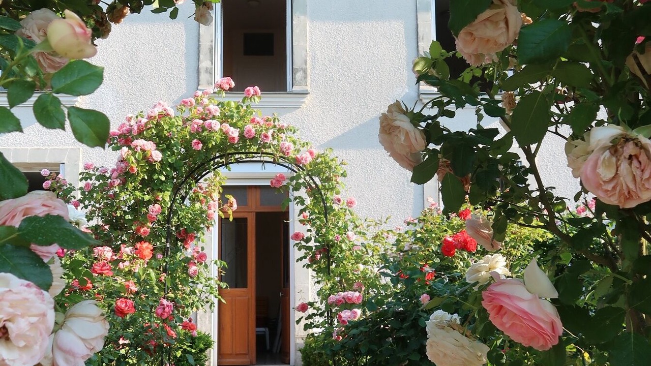 Photo of Outdoor in Noizay
