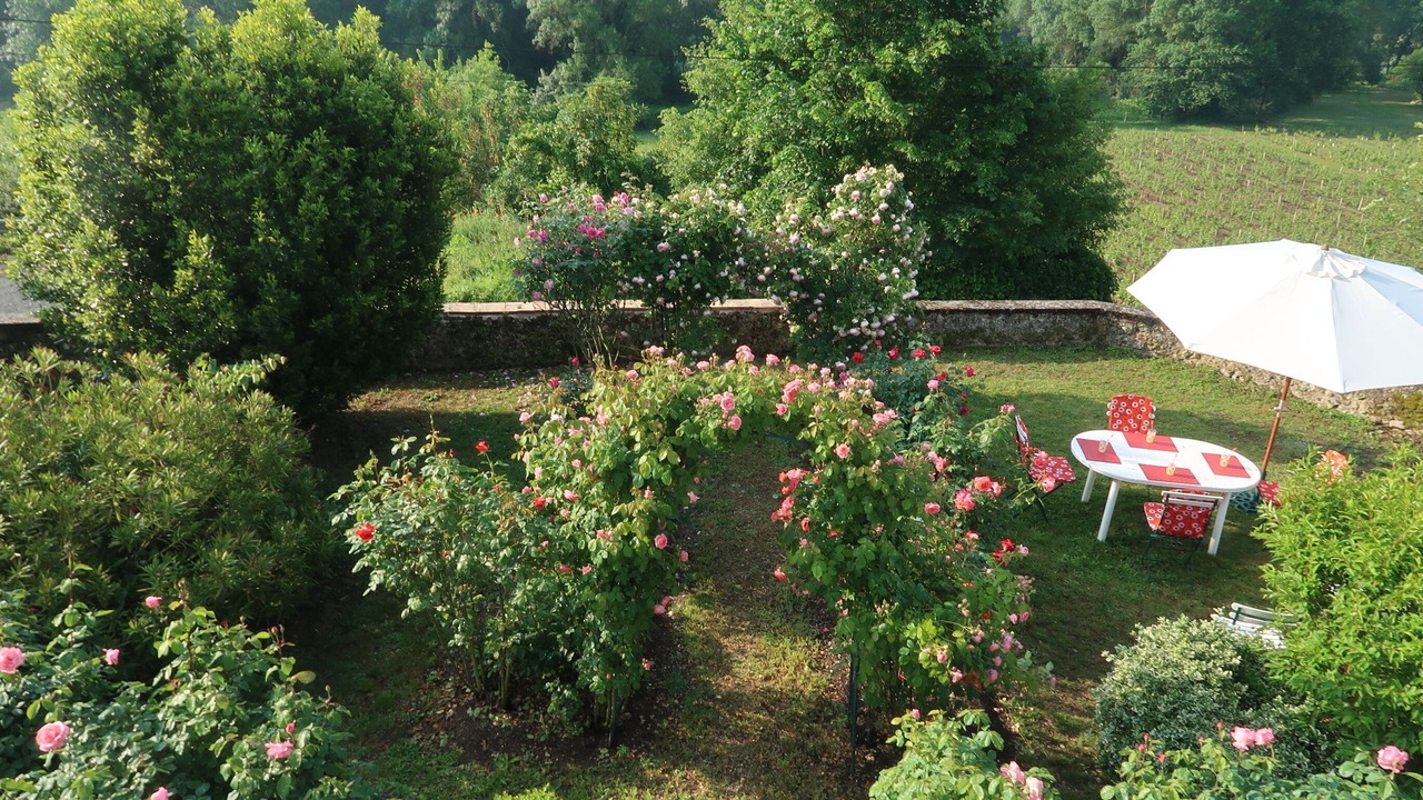Photo of Outdoor in Noizay