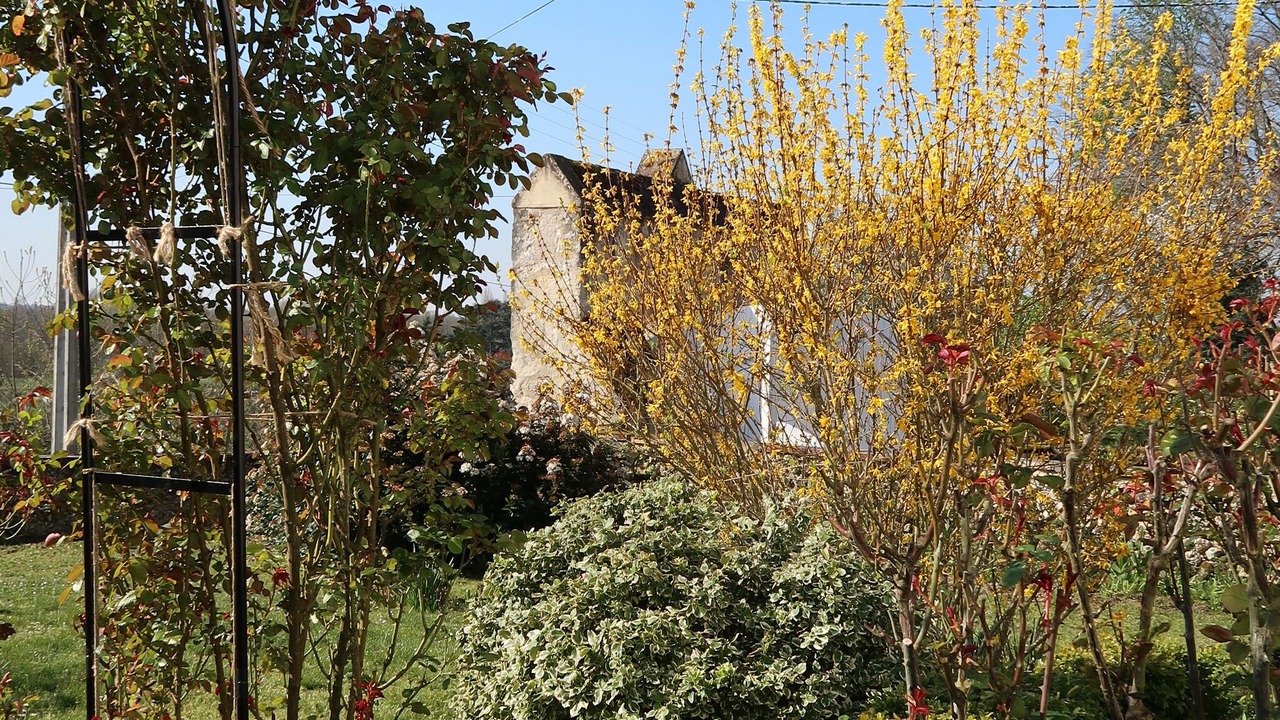 Photo of Outdoor in Noizay