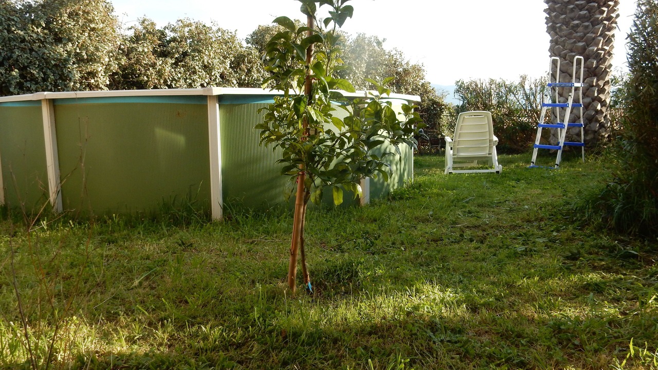 Photo of Outdoor in Saleilles