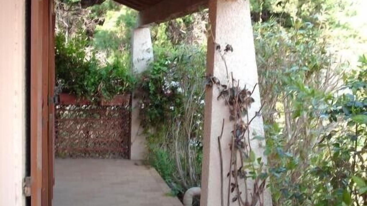 Photo of Outdoor in Saleilles