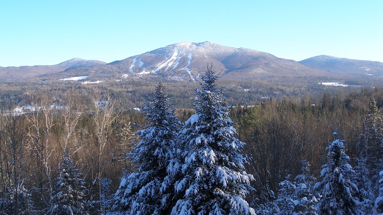 Photo of Others in East Burke