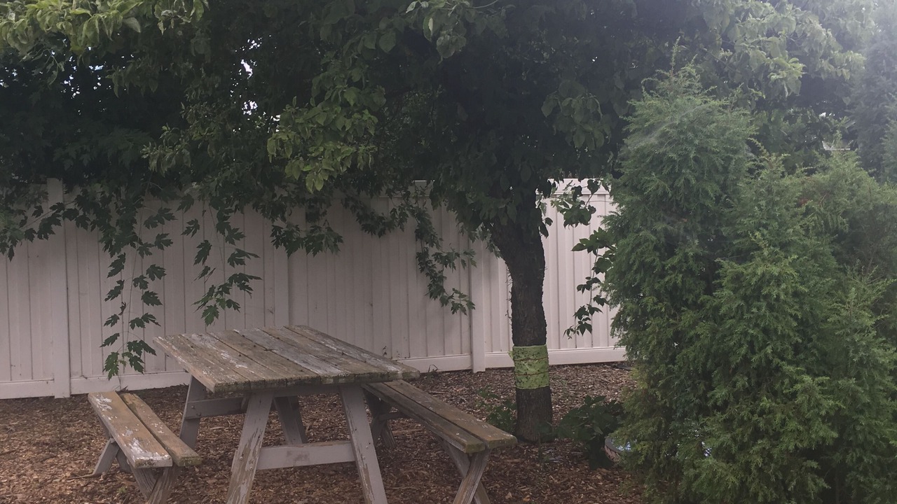 Photo of Outdoor in Witmer