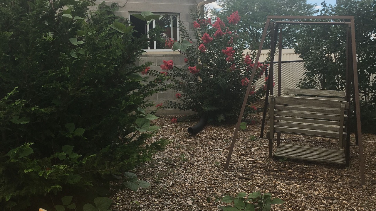 Photo of Outdoor in Witmer