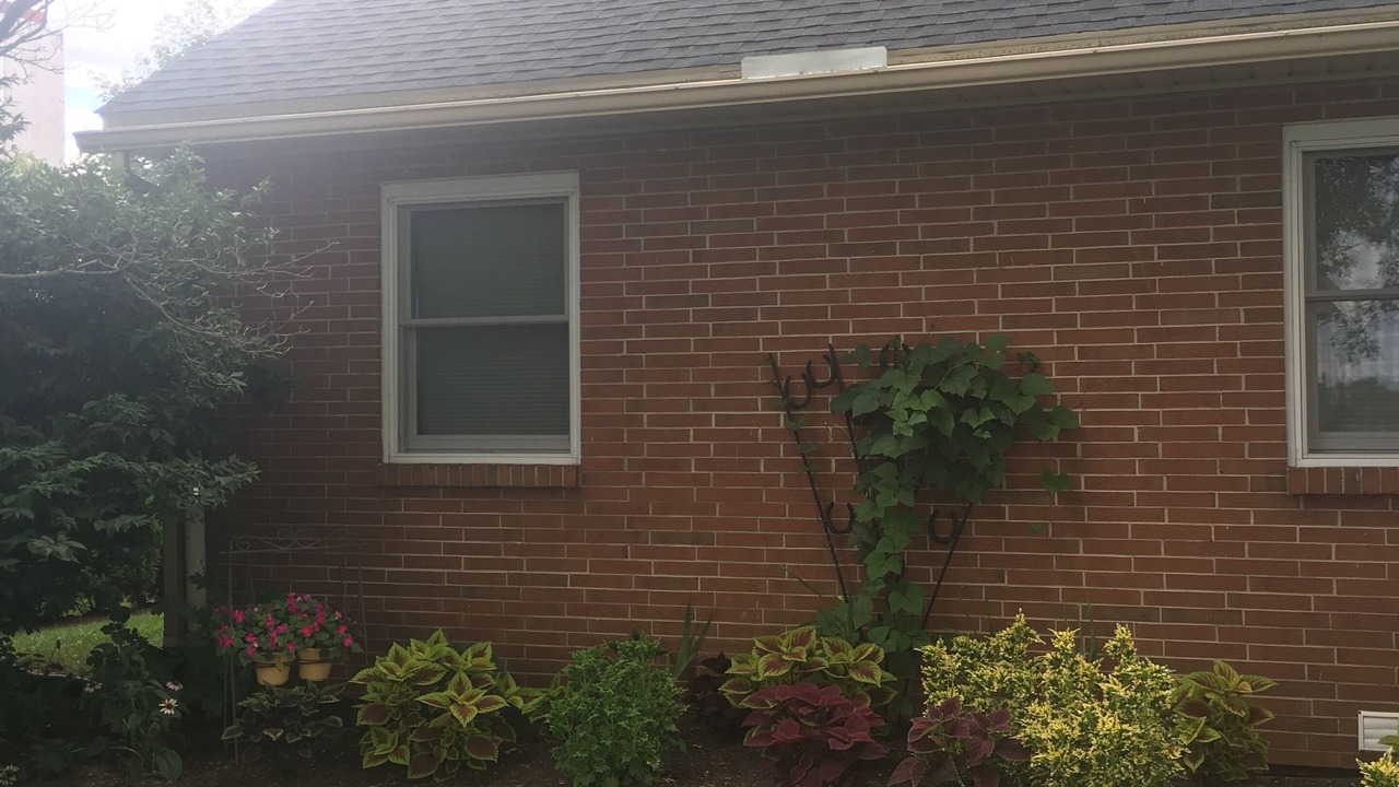 Photo of Outdoor in Witmer