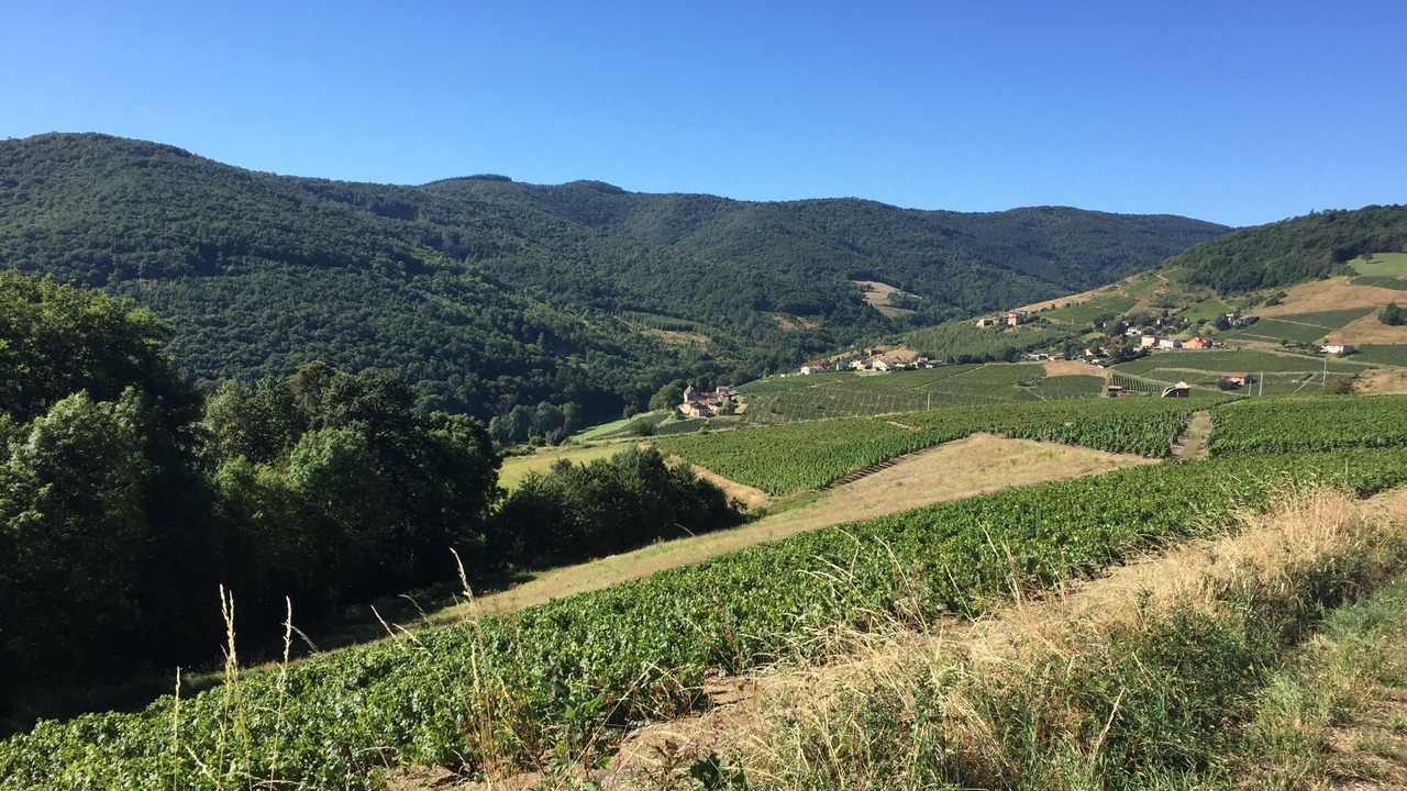 Photo of Outdoor in Quincie-en-Beaujolais