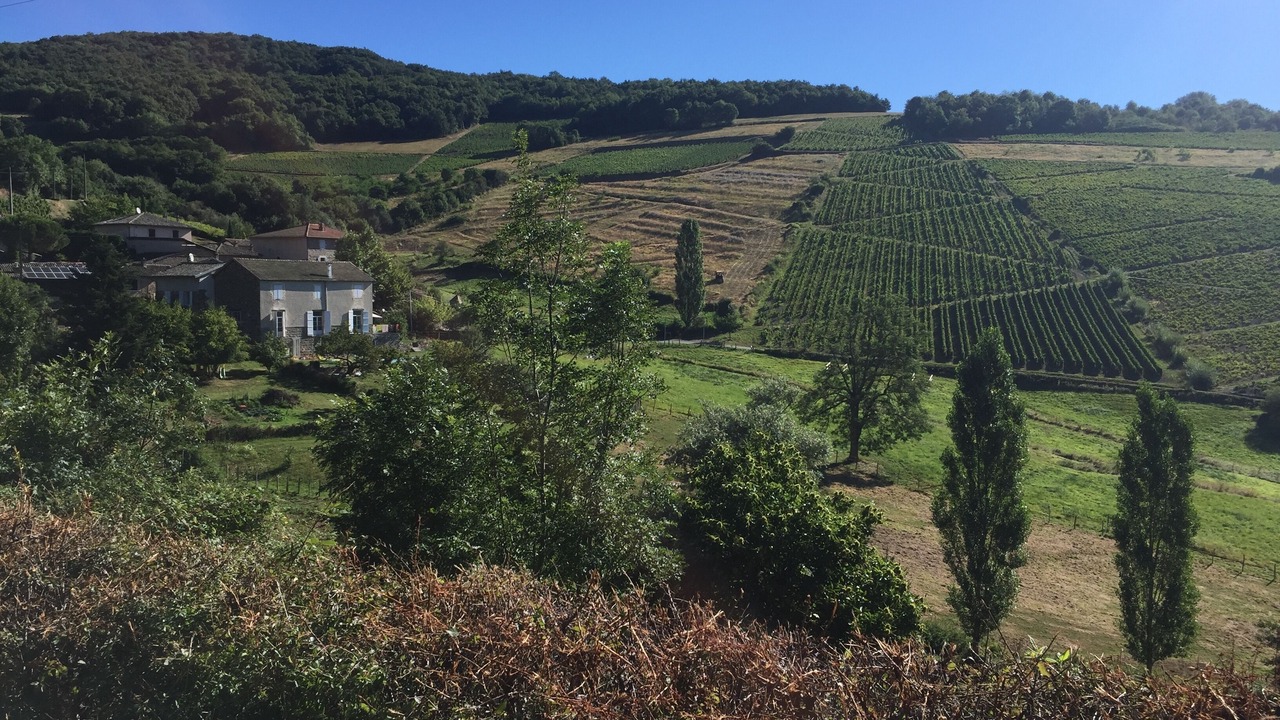 Photo of Outdoor in Quincie-en-Beaujolais