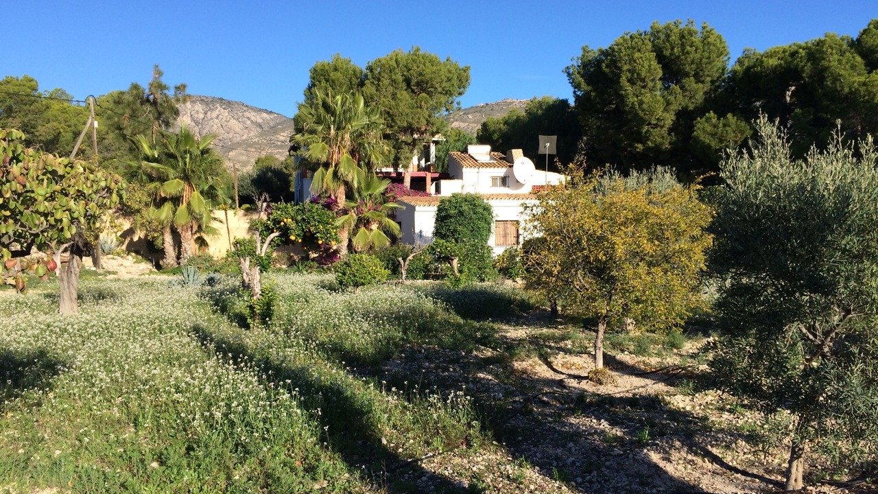 Photo of Outdoor in Crevillente