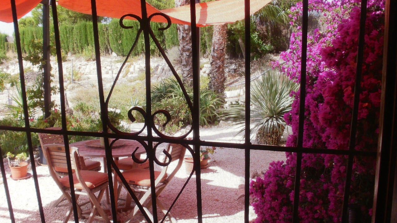 Photo of Outdoor in Crevillente