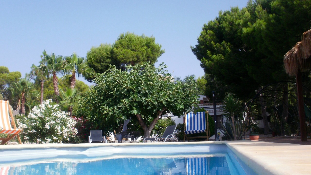 Photo of Outdoor in Crevillente