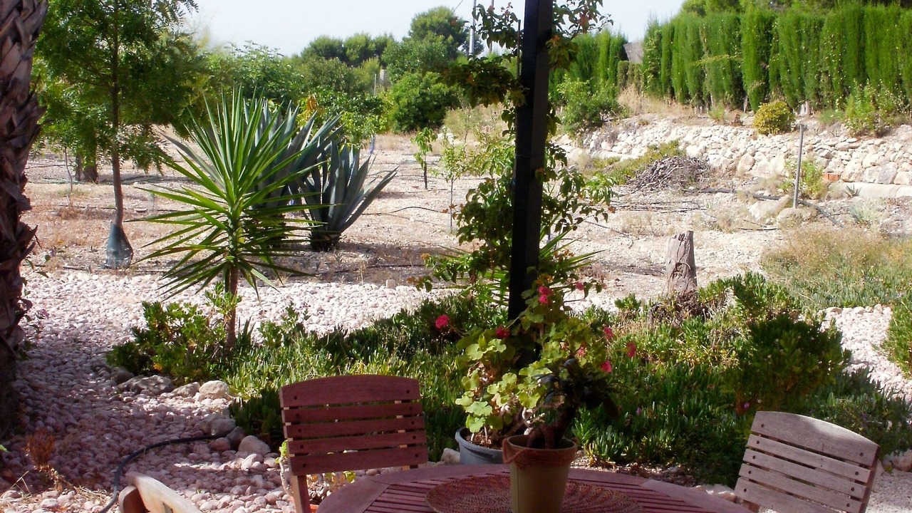 Photo of Outdoor in Crevillente