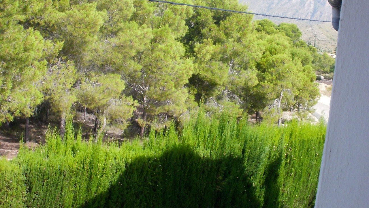 Photo of Outdoor in Crevillente