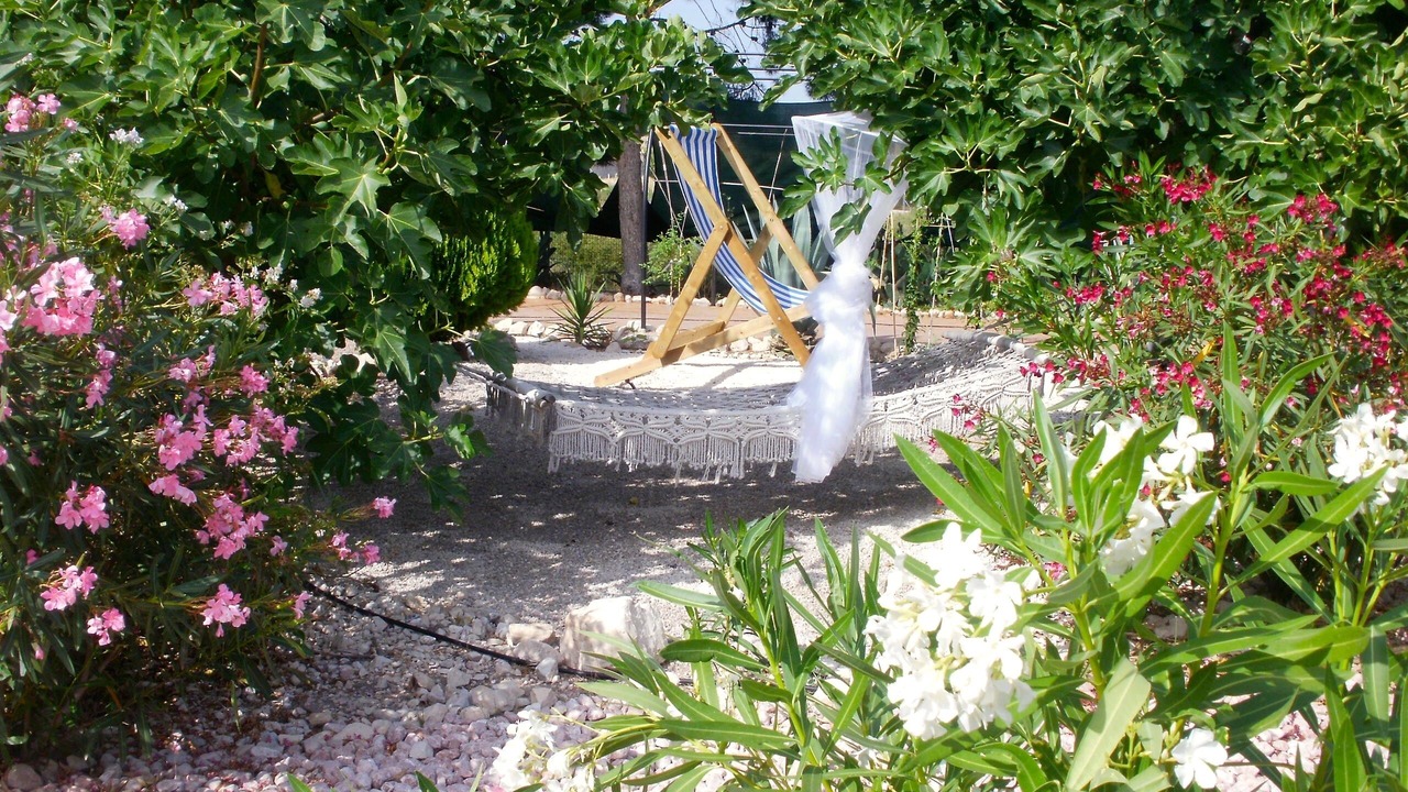Photo of Outdoor in Crevillente