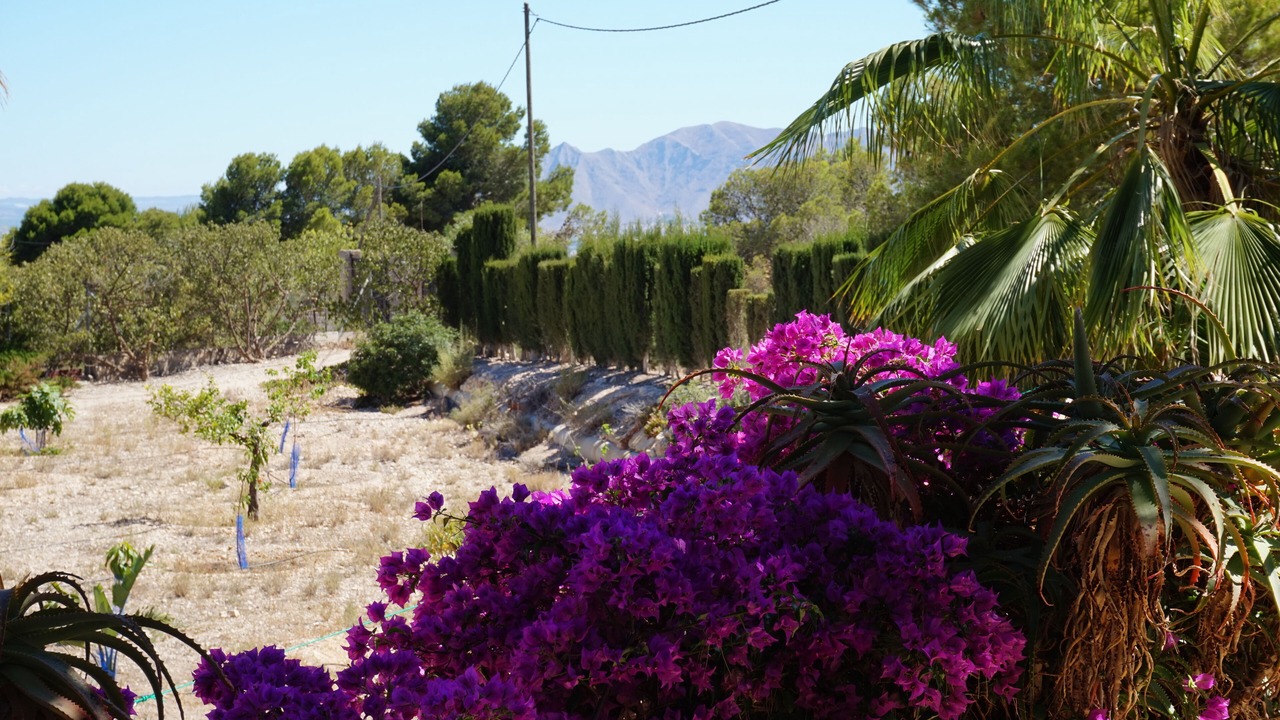 Photo of Outdoor in Crevillente