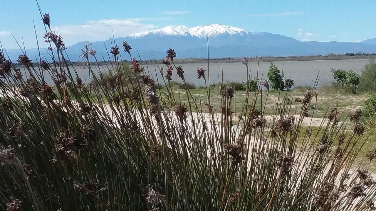 Photo of Outdoor in La Cote Radieuse