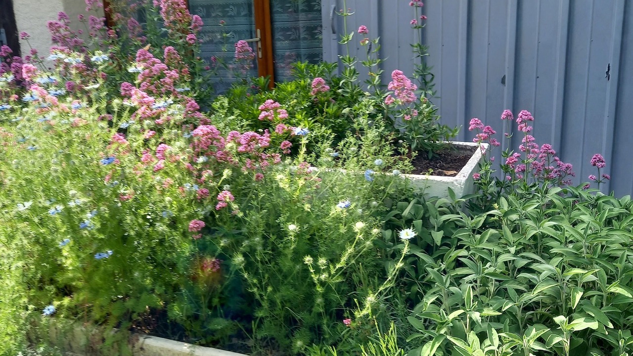 Photo of Outdoor in Goutz