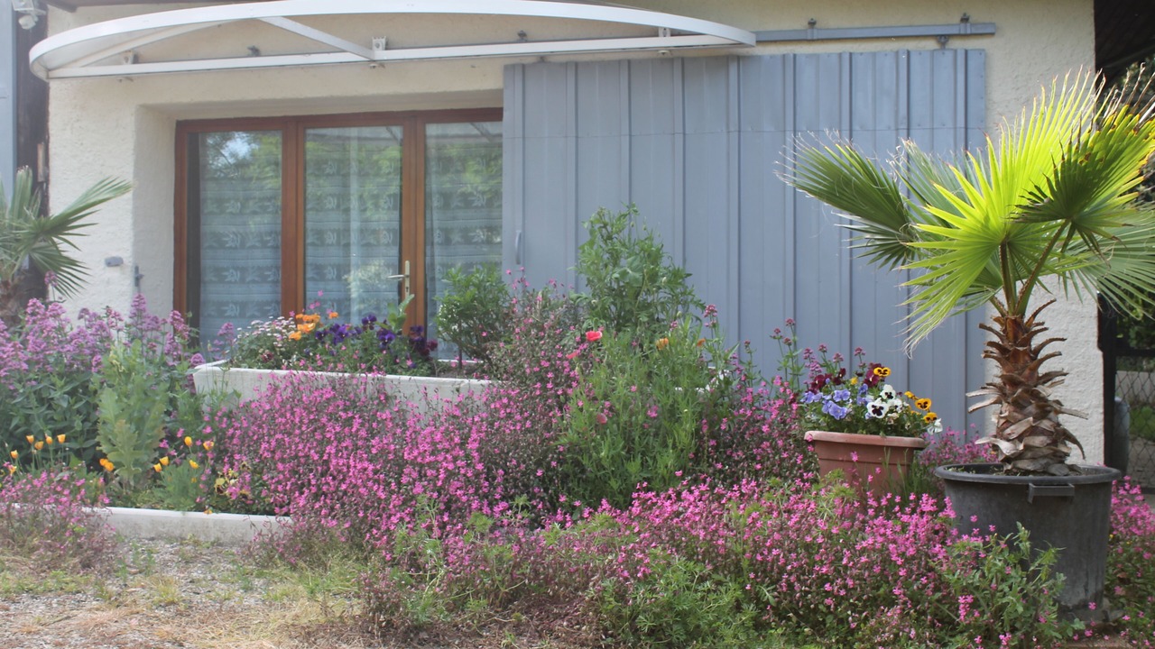 Photo of Outdoor in Goutz