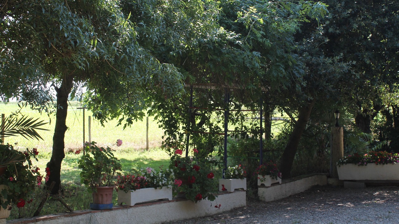 Photo of Outdoor in Goutz