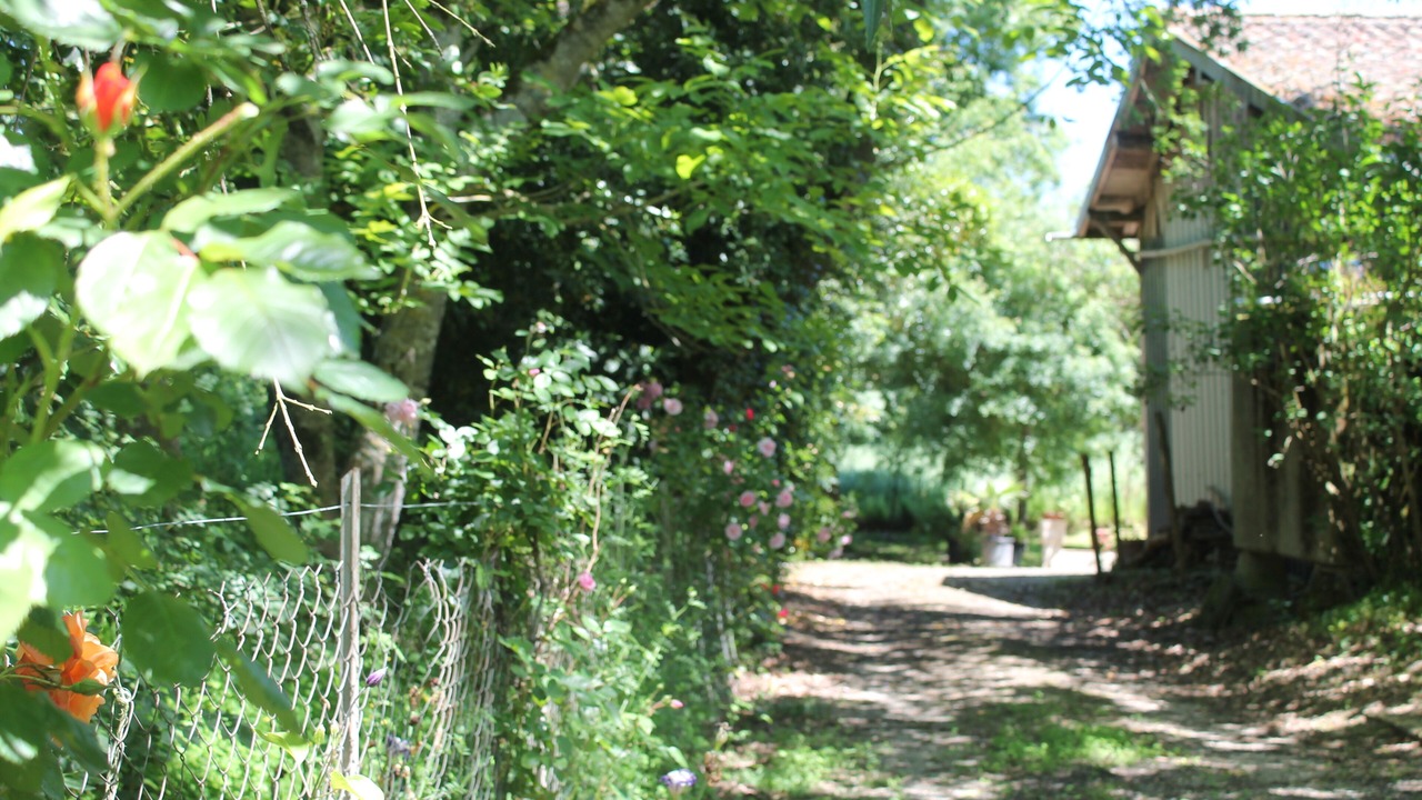 Photo of Outdoor in Goutz