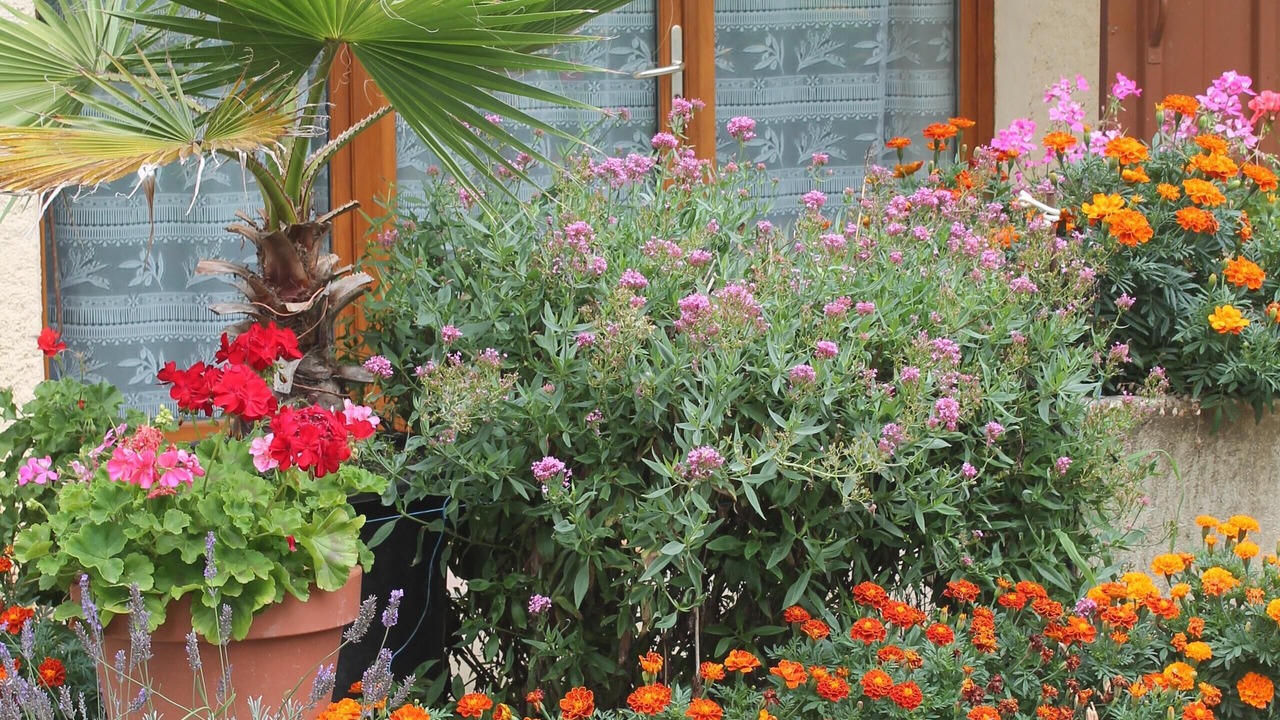 Photo of Outdoor in Goutz