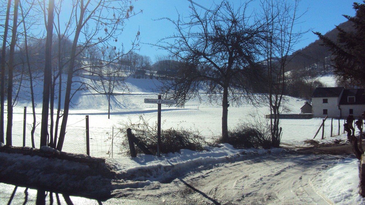 Photo of Outdoor in Campan