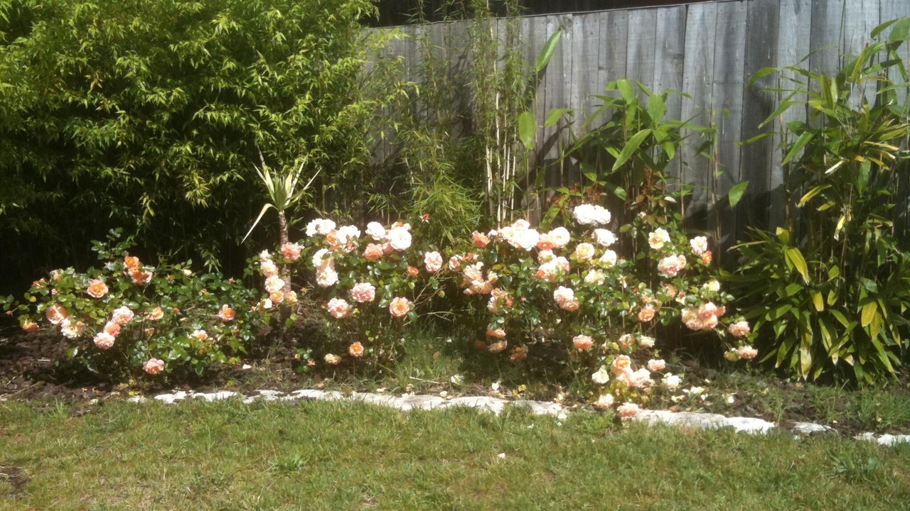 Photo of Outdoor in La Teste-de-Buch