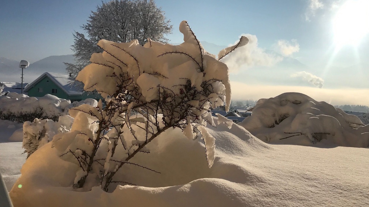 Photo of Outdoor in Gams