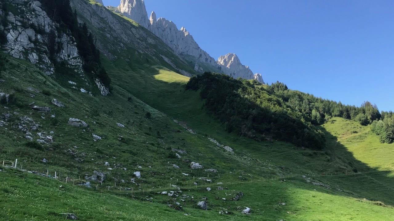 Photo of Outdoor in Gams
