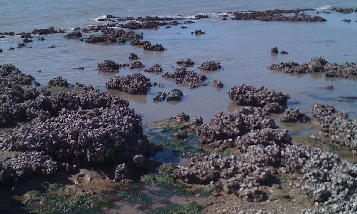 Photo of Others in Ile-d'Aix