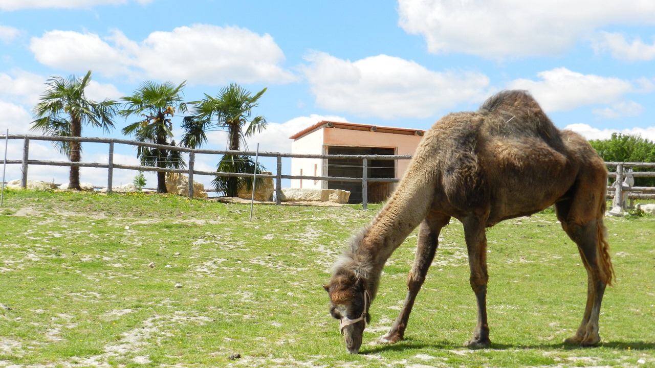 Photo of Outdoor in Dienne