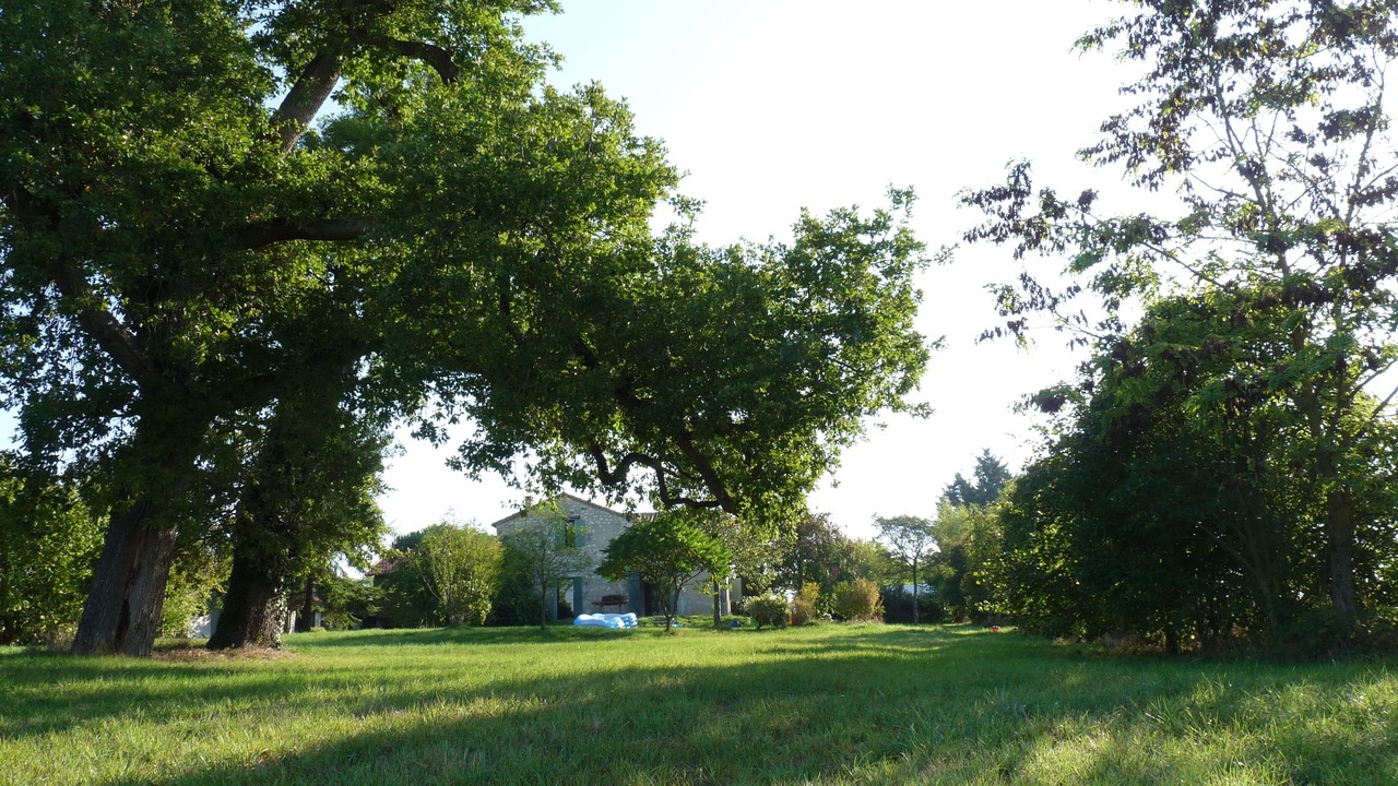 Photo of Others in Boudy-de-Beauregard