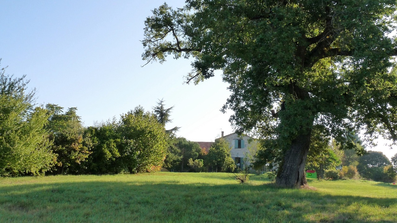 Photo of Others in Boudy-de-Beauregard