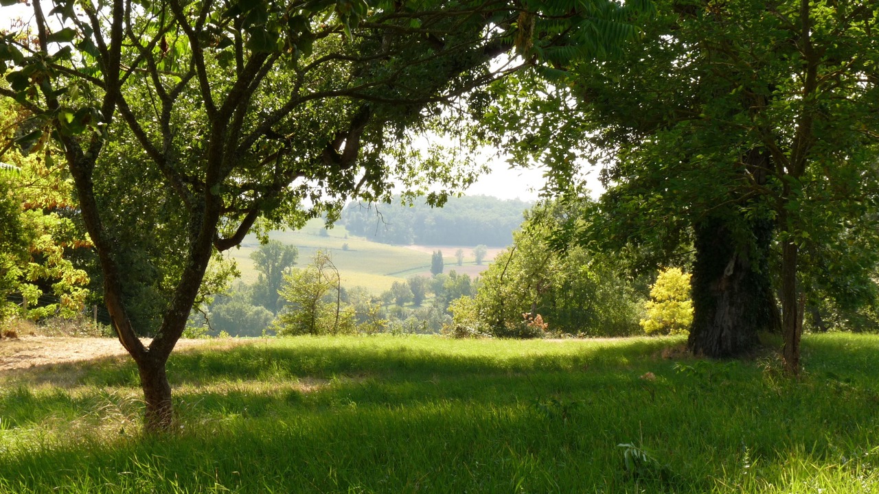 Photo of Outdoor in Boudy-de-Beauregard