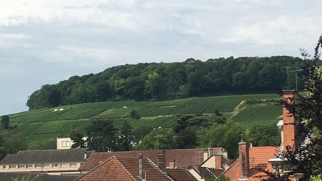 Photo of Outdoor in Avize