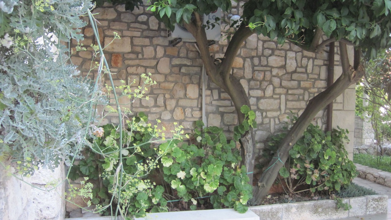 Photo of Outdoor in Lumbarda