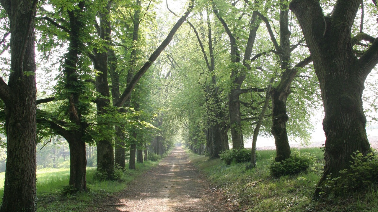 Photo of Outdoor in Blere