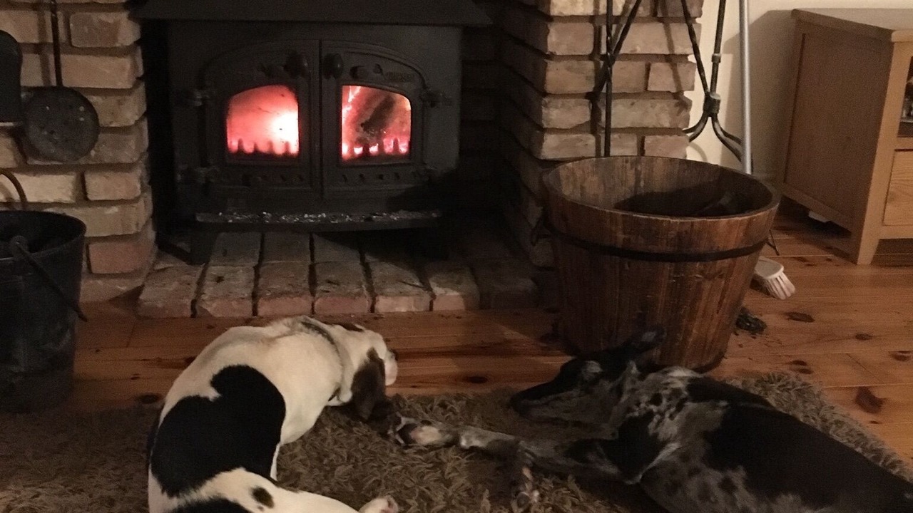 Photo of Others in Combe Florey