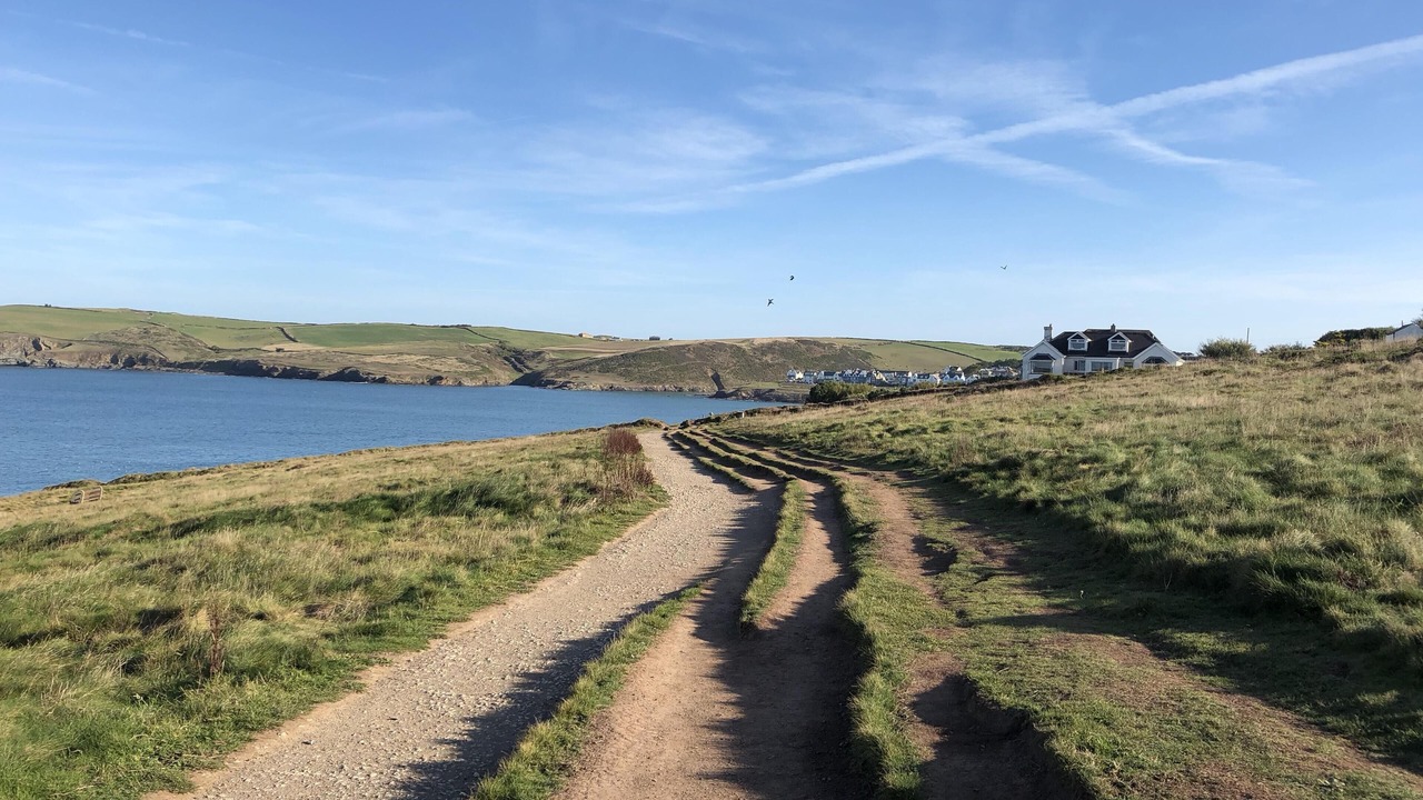 Photo of Others in Polzeath